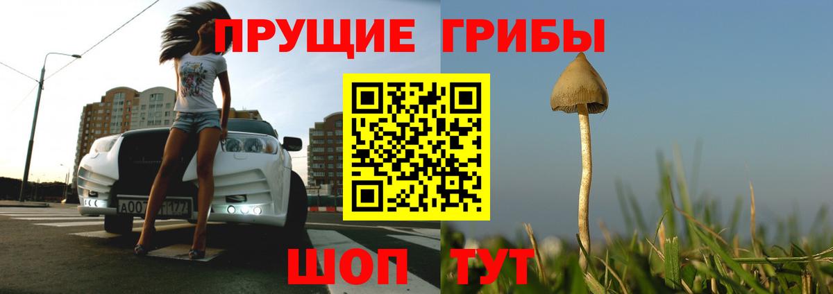 Псилоцибиновые грибы Psilocybe Асбест